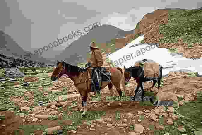 A Breathtaking Scene Showcasing An American Mule Traversing A Rugged Mountain Pass, Surrounded By Pristine Wilderness. American Mules Martina Evans