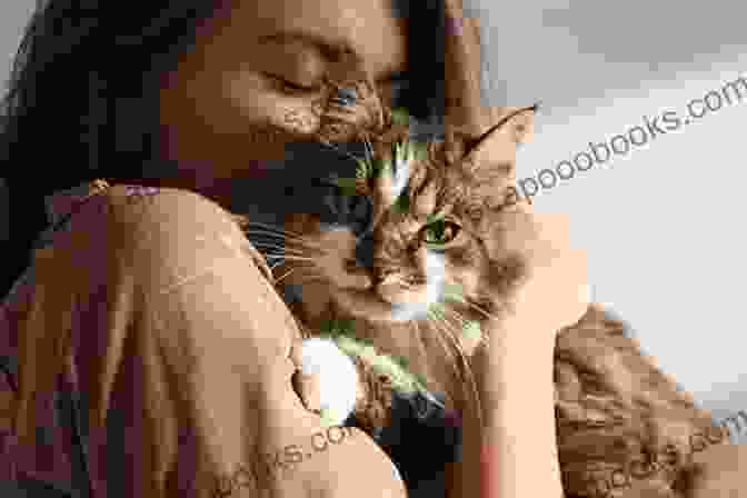 A Cat Receiving Affectionate Petting, Representing The Benefits Of Socialization Hammered (Happy Cat 2) Lili Valente