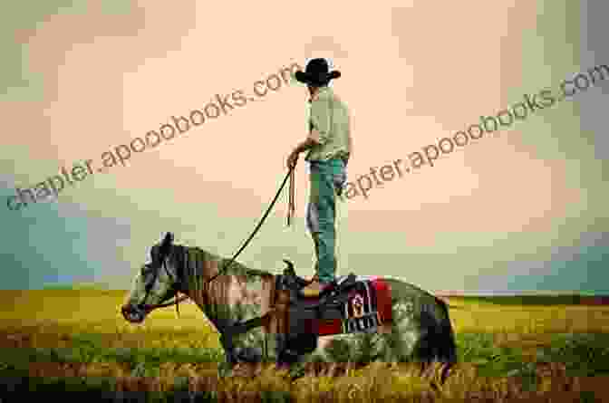 A Cowboy Riding A Horse Through A Field Country Colors: When The Cowboy Doesn T Ride Away