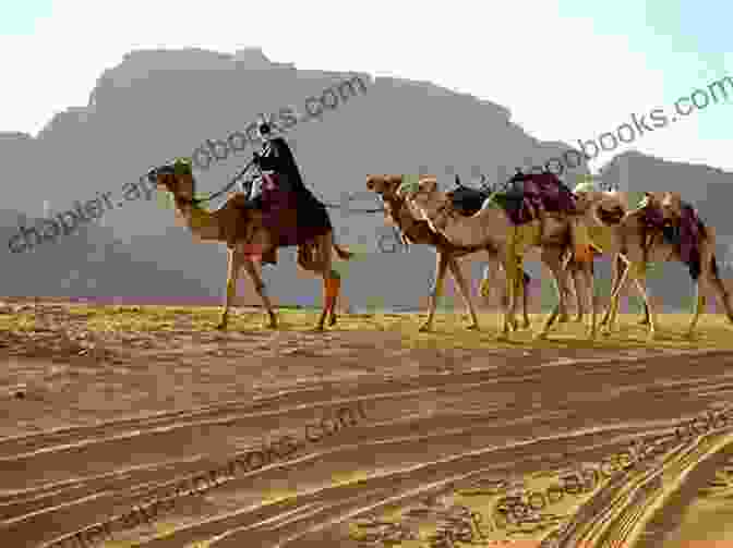 A Group Of Bedouin Tribesmen On Camels In The Desert People Of The Desert And Sea: Ethnobotany Of The Seri Indians (Century Collection)