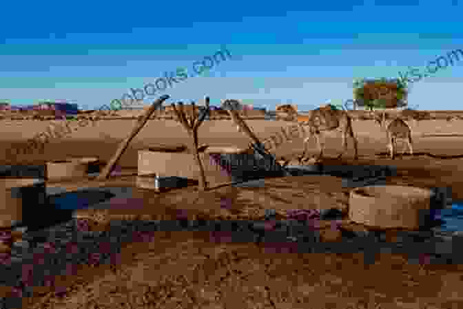 A Group Of Women Gather At A Well In A Remote Desert Oasis People Of The Desert And Sea: Ethnobotany Of The Seri Indians (Century Collection)