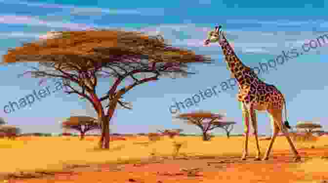 A Majestic Giraffe Striding Across A Surreal Landscape Under A Vibrant Sky West With Giraffes: A Novel