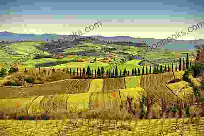 A Panoramic View Of The Rolling Hills Of Tuscany The Last Sip Of Wine: A Novel Of Tuscany