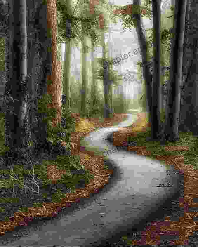 A Path Winding Through A Dark Forest. The Fright Black Cat Vol 28 A Salem Massachusetts Mini Mystery