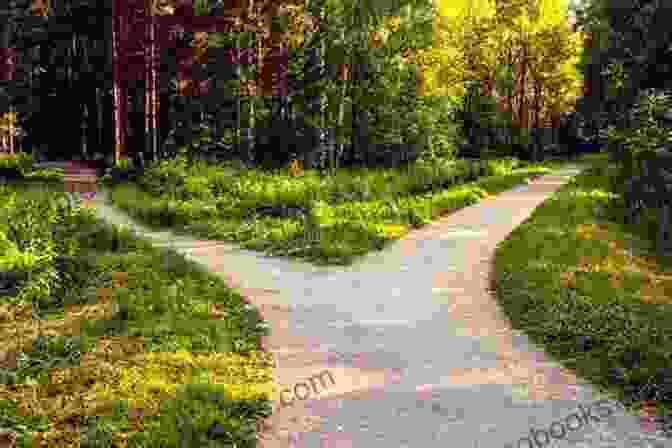 A Person Following A Path Through A Forest, With A Clear Sense Of Direction I Have No Idea What I M ng