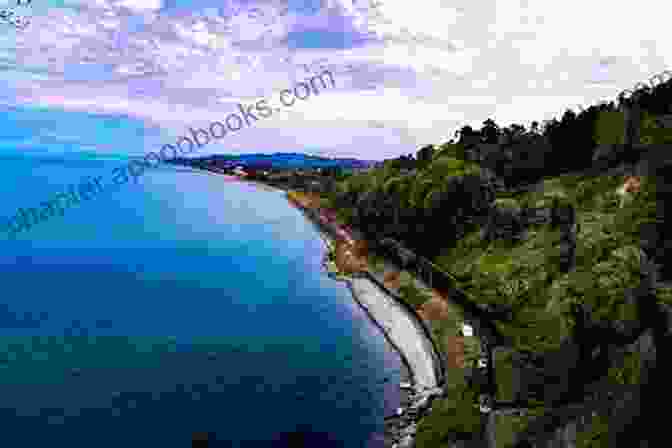 A Photo Of The Black Sea Coastline In Georgia Black Sea Circuit: An Adventure Through The Caucasus