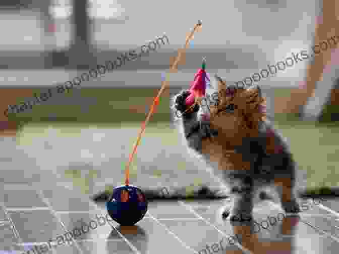 A Playful Cat Enjoying A Toy, Representing The Principles Of Feline Happiness Hammered (Happy Cat 2) Lili Valente