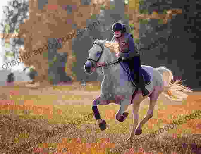 A Pony Galloping Through A Field My Pony Loves To Gallop Horses For Children Children S Horse