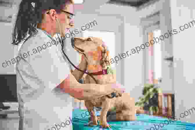 A Veterinarian Examining A Dog During A Checkup. The Dog: Its Behavior Nutrition And Health