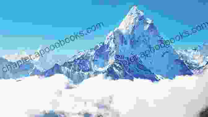 Alpine Meadow On Mount Everest Himalaya: Mount Everest (Photo Book)