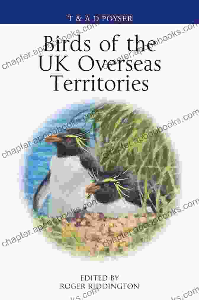 Birds Of The UK Overseas Territories Book Cover Birds Of The UK Overseas Territories