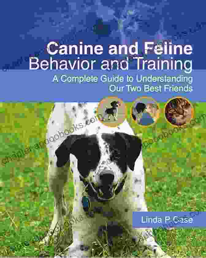 Cat Training Guide: A Step By Step Manual To Understanding And Training Your Feline Companion Princess Diary: A Cat S Memoir: A Guide To Understand Cats And Training You