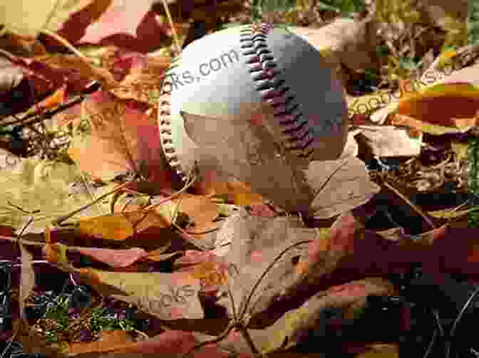 Cover Of 'Free Agent Boys Of Fall' With Baseball And Cityscape Background Free Agent (Boys Of Fall 1)