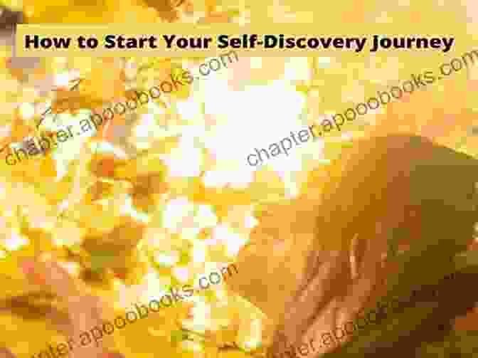 Cover Of Hour Tour: A Journey Of Self Discovery And Empowerment By Dee Sanders 3 Hour Tour (Dee Sanders 1)