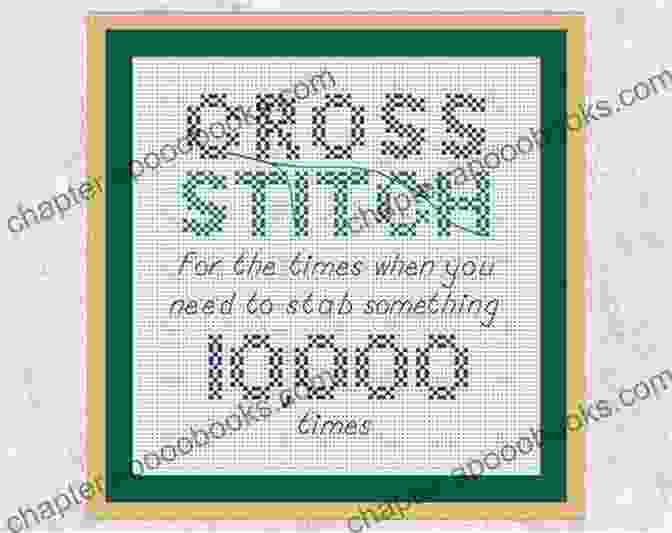 Funny Cross Stitch Sayings Pattern For Adults Book Cover Funny Cross Stitch Sayings 2 Pattern For Adults: Large Counted Snarky Designs For Simple Stitching Customizable Colors (Funny Sayings Cross Stitch Patterns)