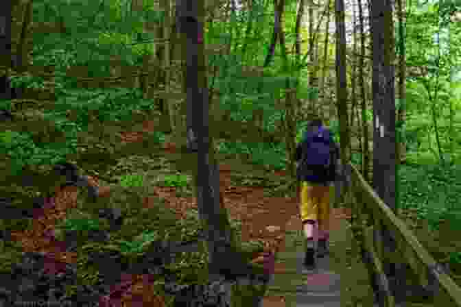 Hiker On The Appalachian Trail In New Jersey Appalachian Trail In New Jersey Hiking Guide Camp Rd To Blue Mtn Lakes Rd