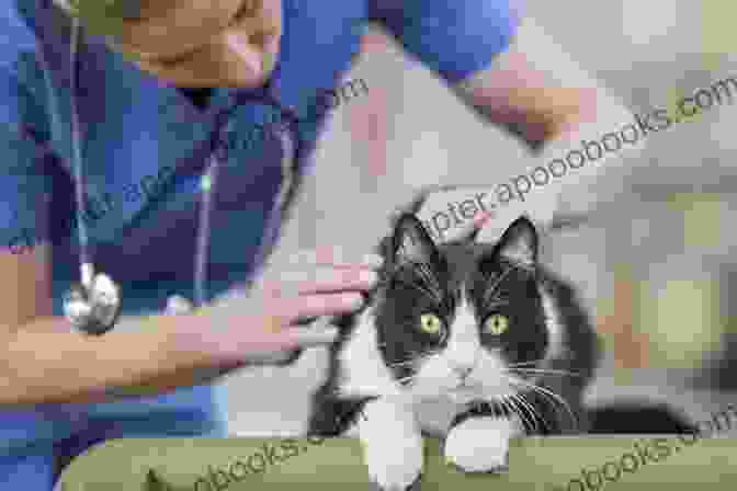 Image Of A Cat Receiving A Checkup By A Veterinarian Hitched (Happy Cat 3) Lili Valente