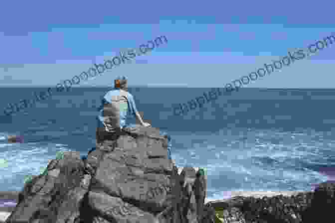 James The Photographer, A Man With A Camera, Sitting On A Rock, Looking Out To Sea The Encounter: James The Photographer