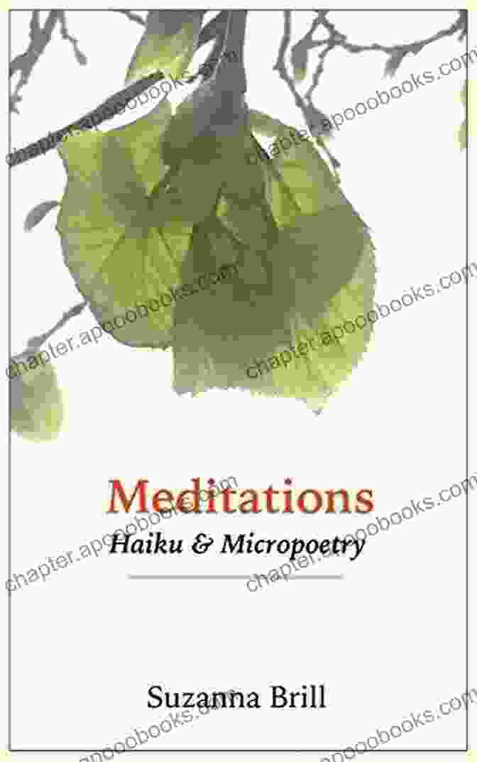 Meditations Haiku And Micropoetry By Nichole McElhaney Book Cover Meditations: Haiku And Micropoetry Nichole McElhaney