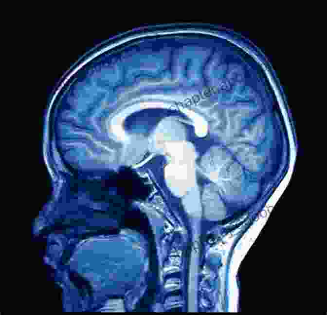 MRI Scan Of A Human Brain Highlighting Different Regions Associated With Various Mental Processes What S Going On Inside My Head?: Starting Conversations With Your Child About Positive Mental Health