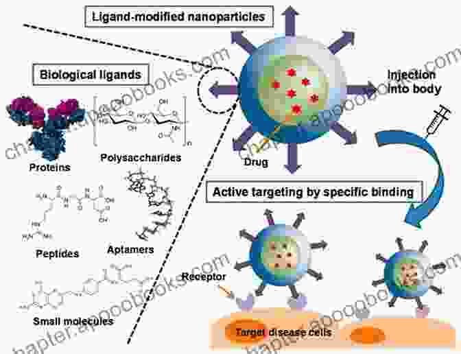 Nanoparticle Based Drug Delivery Systems For Targeted Treatment Of Soft Tissue Infections, Ensuring Optimal Drug Concentration At The Infection Site Nanotechnology In Skin Soft Tissue And Bone Infections