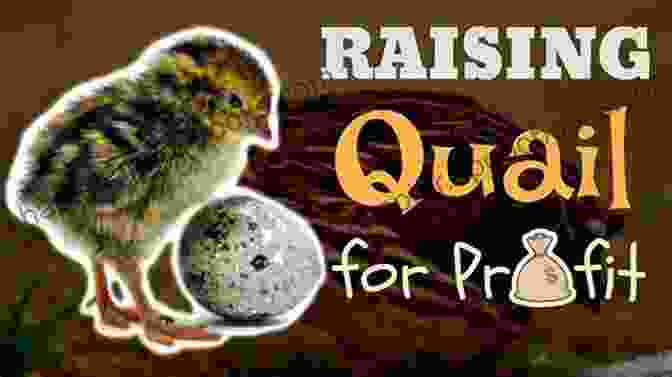 Quail Marketing And Profitability Getting Started With Quail: A Beginners Guide To Happy Healthy Birds (Getting Started With 2)