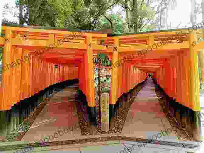 Rows Of Vermilion Torii Gates At Fushimi Inari Shrine Gaijin A Go Go: Travel Japan Kyoto