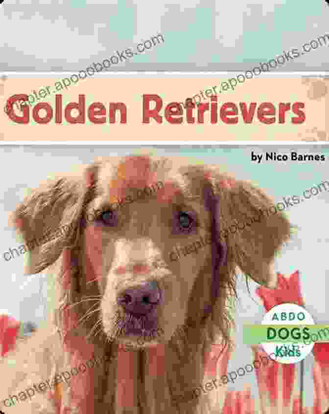 The Dog Loved Novel Book Cover, Featuring A Golden Retriever Sitting In A Field Of Flowers The Dog I Loved: A Novel