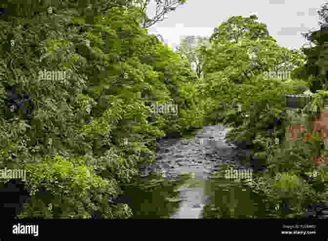 The Iconic Marple Bridge, Captured In The 1990s, Showcasing Its Elegant Arches And The Tranquil River Goyt Flowing Beneath. Forty Years Together (Marple Shots)