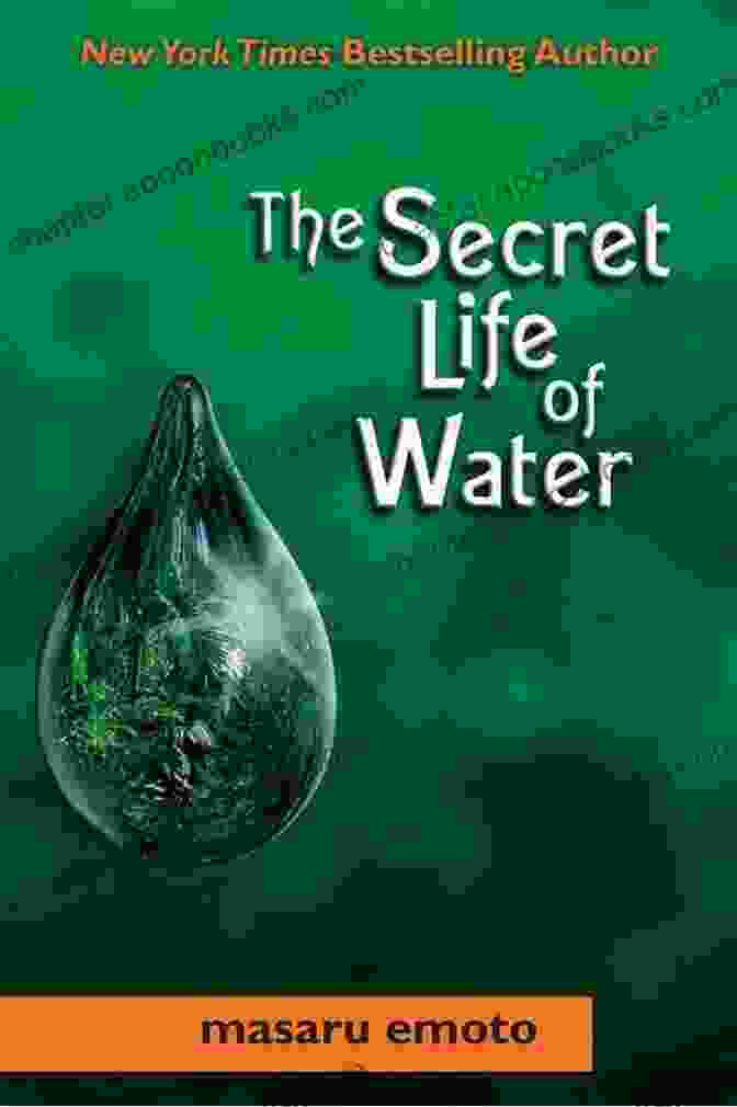 The Water Of Life Book Cover The Water Of Life: Russian Tales In Jungian Perspective