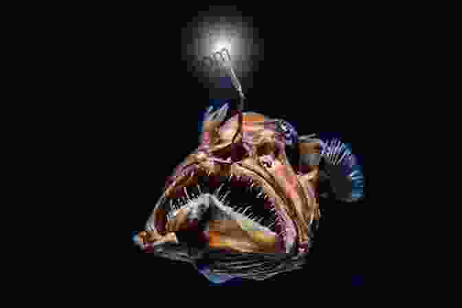 Vibrant Illustration Of A Deep Sea Anglerfish With Bioluminescent Lure Incredible Creatures Of The Sea: A Classic Illustrated Guide To The Wonders Of The Deep