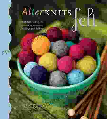 AlterKnits Felt: Imaginative Projects For Knitting Felting