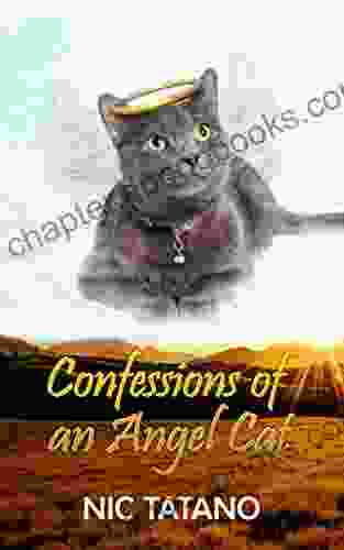 Confessions of an Angel Cat