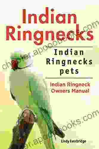 Indian Ringnecks as pets Indian Ringnecks Indian Ringneck care