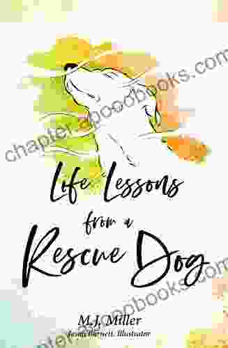 Life Lessons from a Rescue Dog