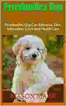 Pyredoodles Dog : Pyredoodles Dog Care Behavior Diet Interaction Costs And Health Care