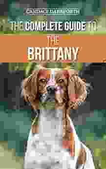 The Complete Guide To The Brittany: Selecting Preparing For Feeding Socializing Commands Field Work Training And Loving Your New Brittany Spaniel Puppy