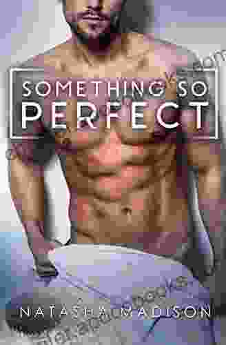 Something So Perfect (Something So 2)