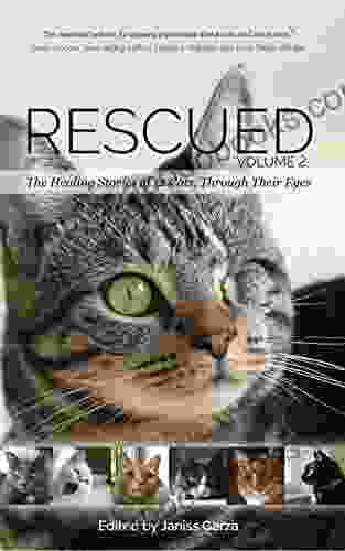 Rescued Volume 2: The Healing Stories Of 12 Cats Through Their Eyes