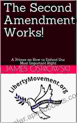 The Second Amendment Works : A Primer On How To Defend Our Most Important Right