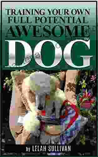 Training Your Own Full Potential Awesome Dog: Service Dog Quality Training For Pet Dogs