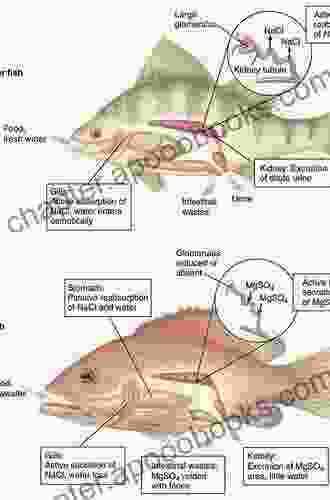 Fish Osmoregulation Marci Denesiuk